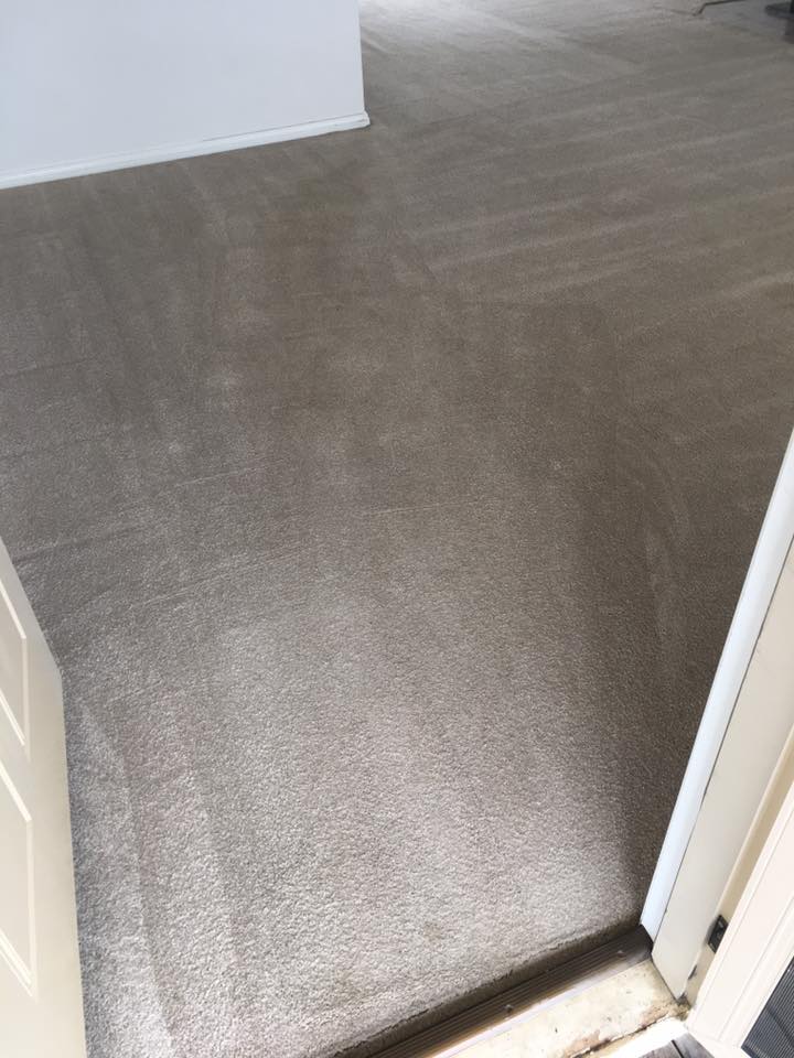 After - bedroom carpet steam cleaned in a Canberra home