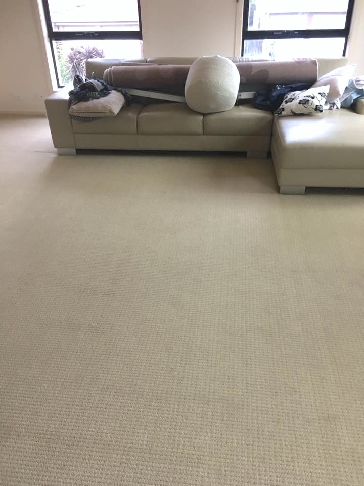 After - living room carpet cleaned by Canberra carpet cleaners