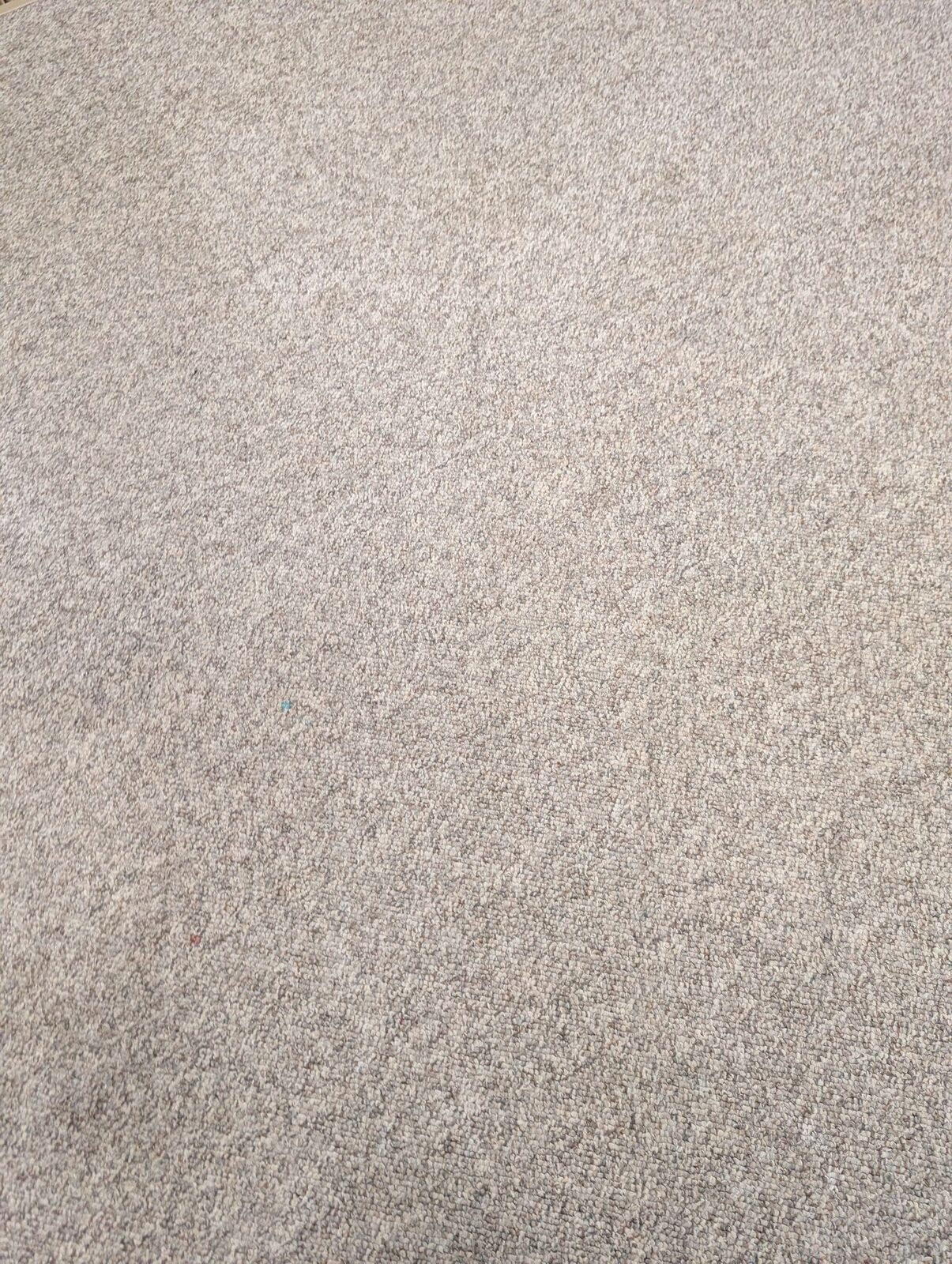 After - carpet restored after pet odour treatment