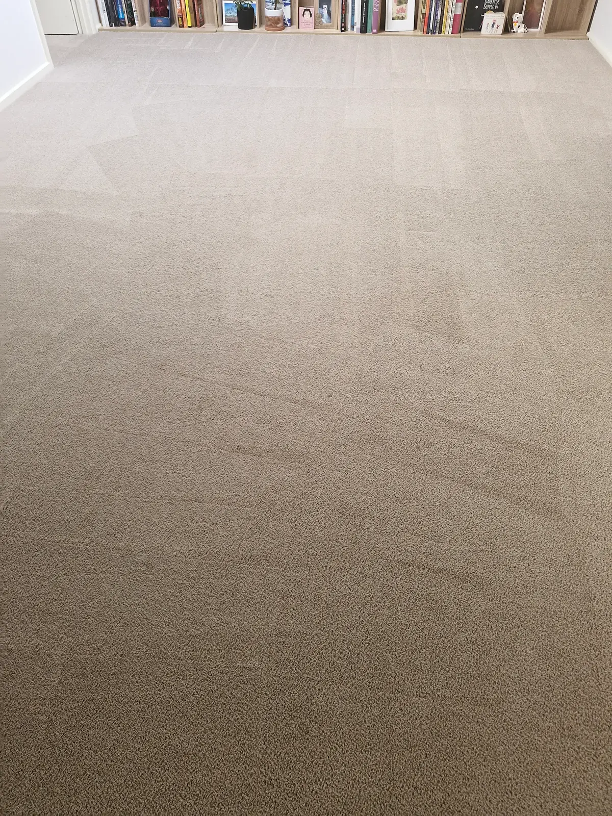 Carpet after cleaning